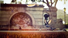 Birds fountain Spain sunlight streets FC Barcelona