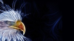 Birds Fractalius
