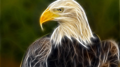 Birds Fractalius Eagles