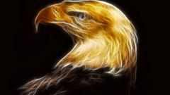 Birds Fractalius Eagles