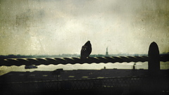 Birds grunge new york