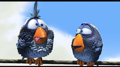 Birds how can screencap