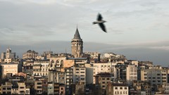 Birds Istanbul cityscapes bosphorus turkish skyscapes Galata 