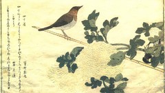 Birds Japanese artwork Kitagawa Utamaro