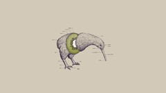 Birds kiwi (animal) abstract Animals kiwi fruit artwork surreal