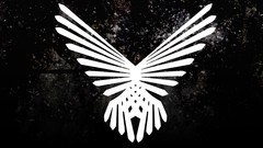 Birds long distance calling post-metal post-rock