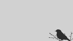 Birds minimalistic
