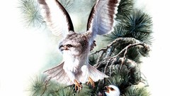 Birds nest pine trees artwork baby birds