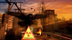 Birds Nuclear