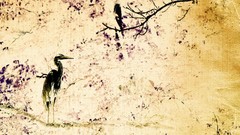 Birds paintings artwork