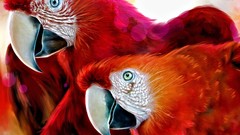 Birds Parrots artwork Scarlet Macaws