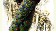 Birds Peacocks artwork