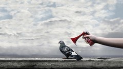 Birds Pigeons horns Arms