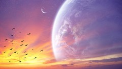 Birds planets