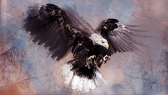 Birds predator paintings Eagles artwork