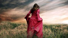 Birds red dress Photo