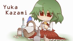 Birds red eyes Bunnies green hair touhou kazami yuuka video 
