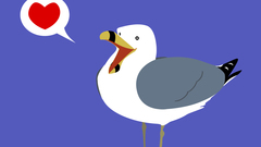 Birds seagulls simplistic