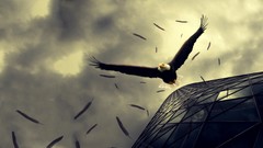 Birds sepia Eagles buildings