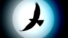 Birds silhouettes artwork