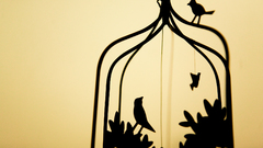 Birds silhouettes cage Simple