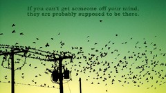 Birds silhouettes power lines Quotes