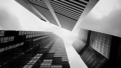 Birds Skyscrapers monochrome buildings skyscapes