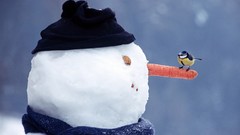 Birds Snowmen