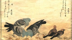 Birds sparrow Japanese Pigeons artwork Kitagawa Utamaro