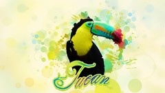 Birds toucans