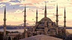 Birds Turkey Istanbul Temples buildings cityscapes minarets 