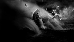 Birds waves storm grayscale