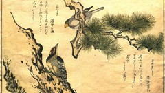 Birds woodpecker Japanese kanji artwork Kitagawa Utamaro