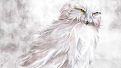 Birds yellow eyes Owls artwork