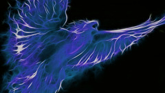 Birdu My two seconds