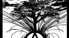 Bistec3 copy any anarchist