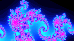 Bitch high Fractals in