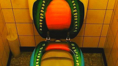 Bizarre toilet high
