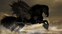 Black abstract Horses pegasus