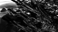 Black and white 3d color splash