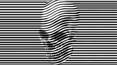 Black and white abstract stripes skulls WTF vectors optical 