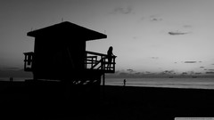 Black and white Beaches houses
