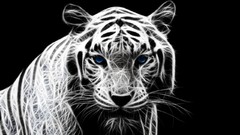 Black and white black background Lions feline artwork digital 