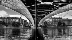 Black and white Bridges