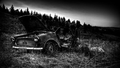 Black and white cars monochrome forests grayscale wrecks