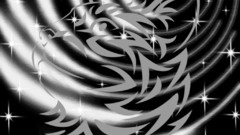 Black and white cats