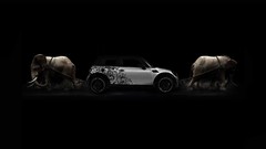 Black and white elephants Mini Cooper