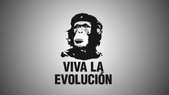 Black and white Evolution monkeys viva