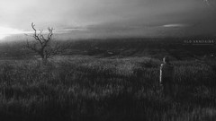 Black and white fields digital art