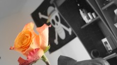 Black and white Flowers